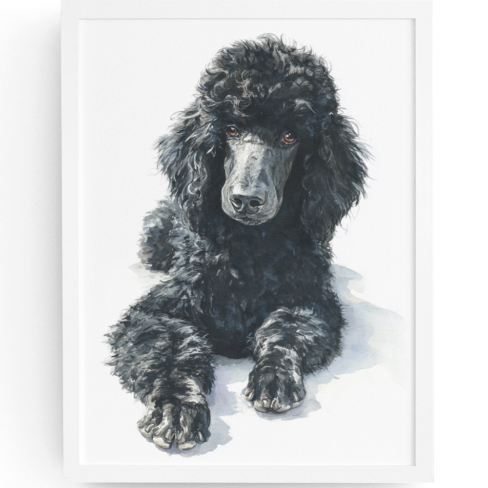 Watercolor Black Poodle Portrait Wall Art Print Poster, Unframed - Pet Artwork